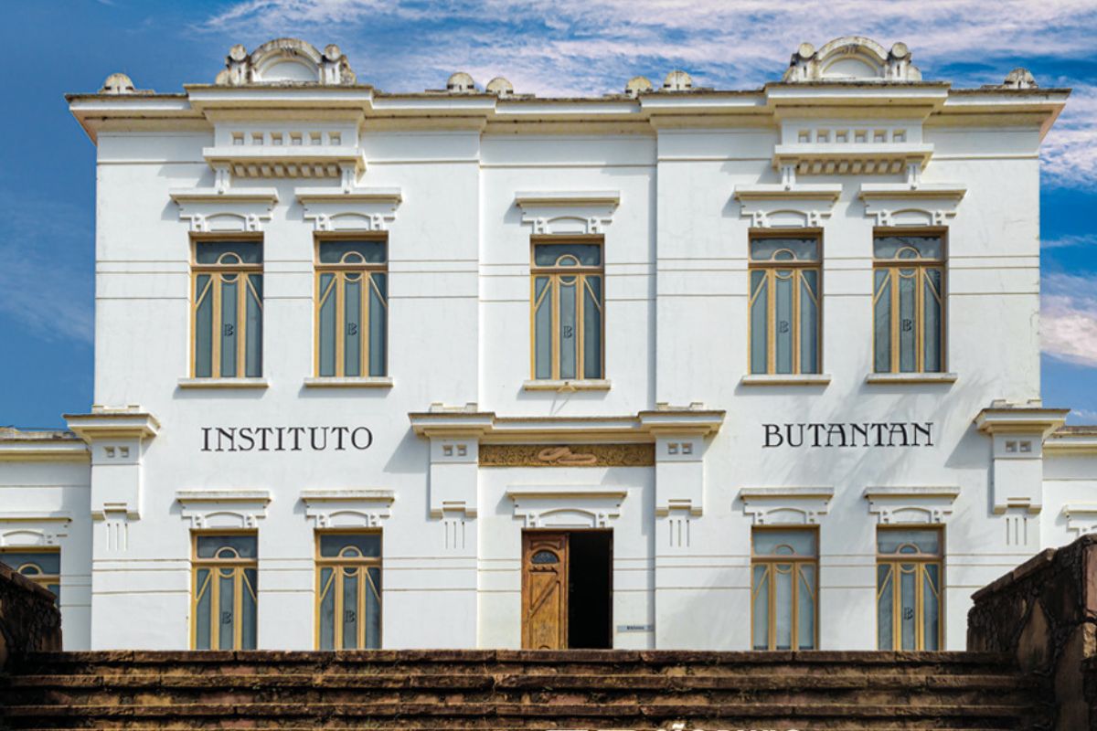 Instituto Butantan: Filhote de naja é encontrado após um mês