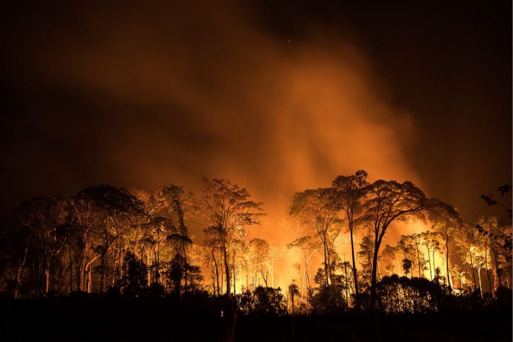 Peru decreta estado de emergências em áreas atingidas por incêndios