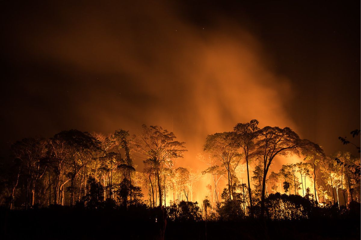 Peru decreta estado de emergências em áreas atingidas por incêndios