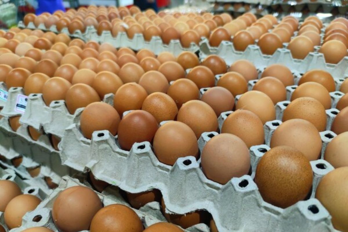 Consumidores sentem no bolso alta recorde no preço dos ovos