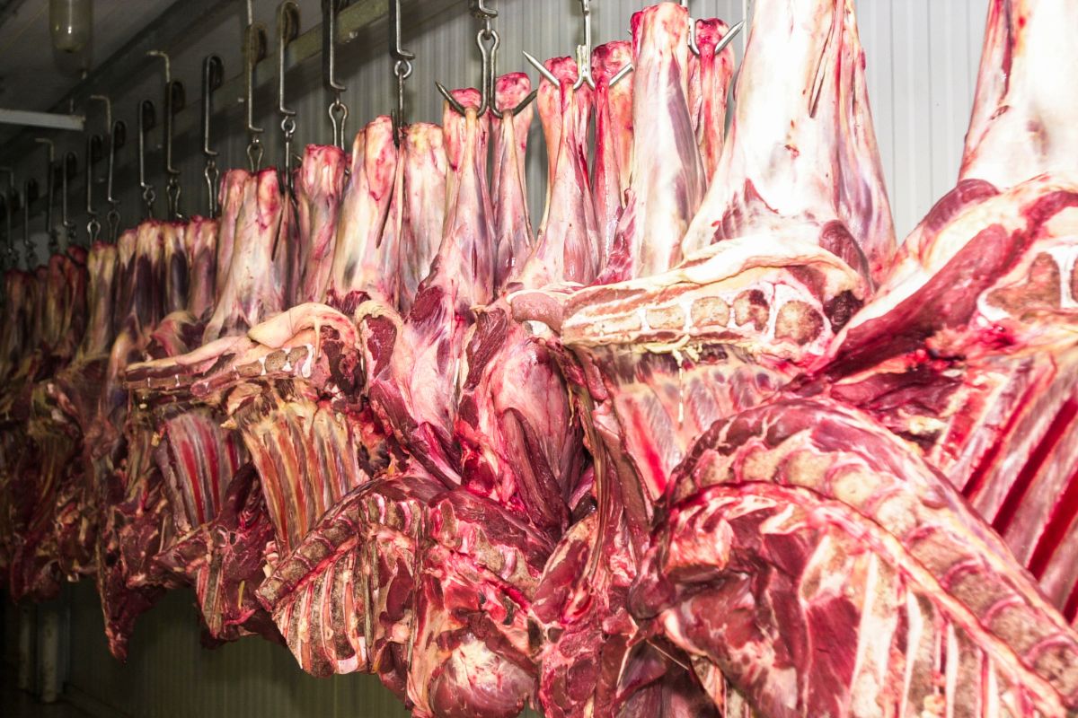 Venda de carne bovina ao exterior cresce e fevereiro registra recorde