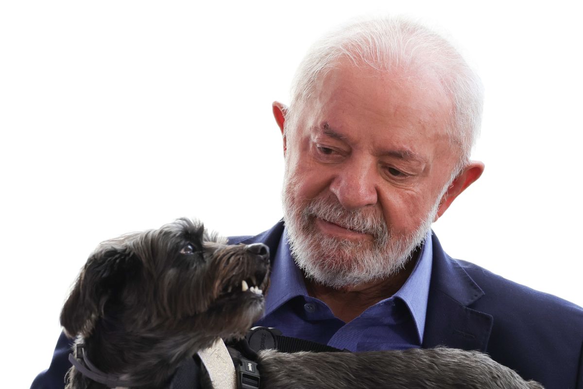 Rodeado por pets, Lula lança documento digital que identifica animais no país