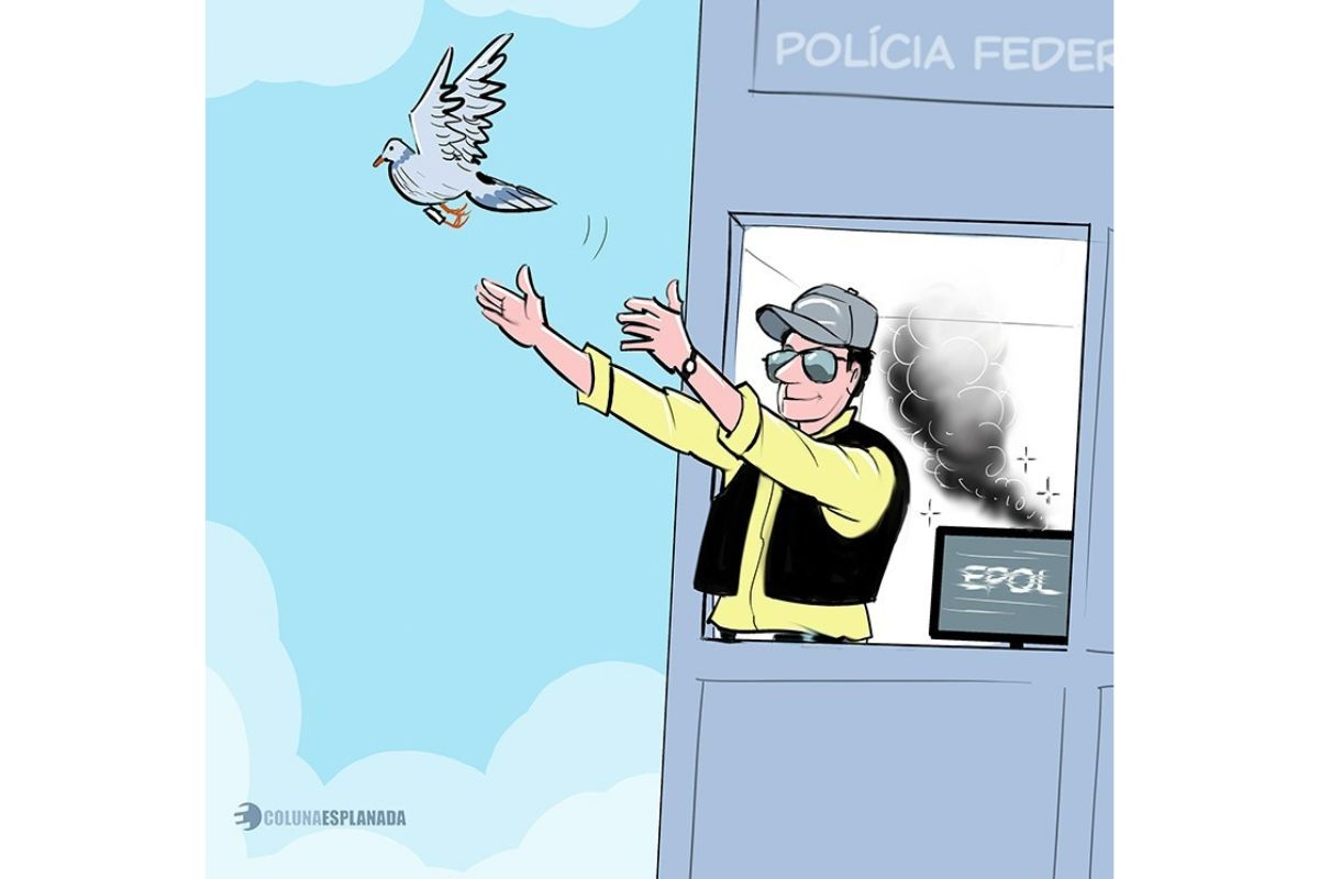 Debate sobre financiamento climático mostra gargalo entre metas e ações práticas no Brasil