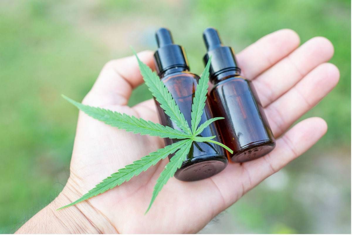 Governo Federal avança na regulamentação de medicamentos à base de cannabis no Brasil