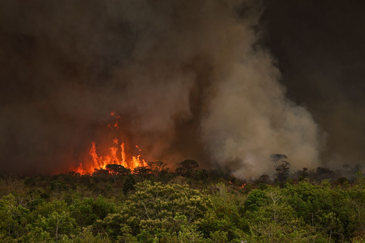 Câmara aprova aumento de pena para quem provoca fogo em floresta