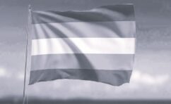 bandeira transgenero