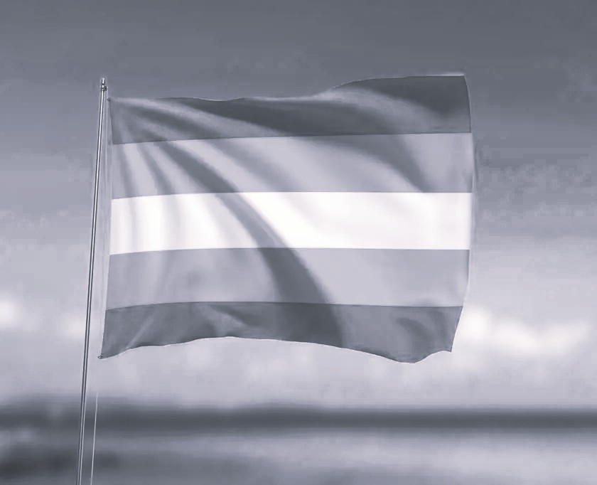 bandeira transgenero